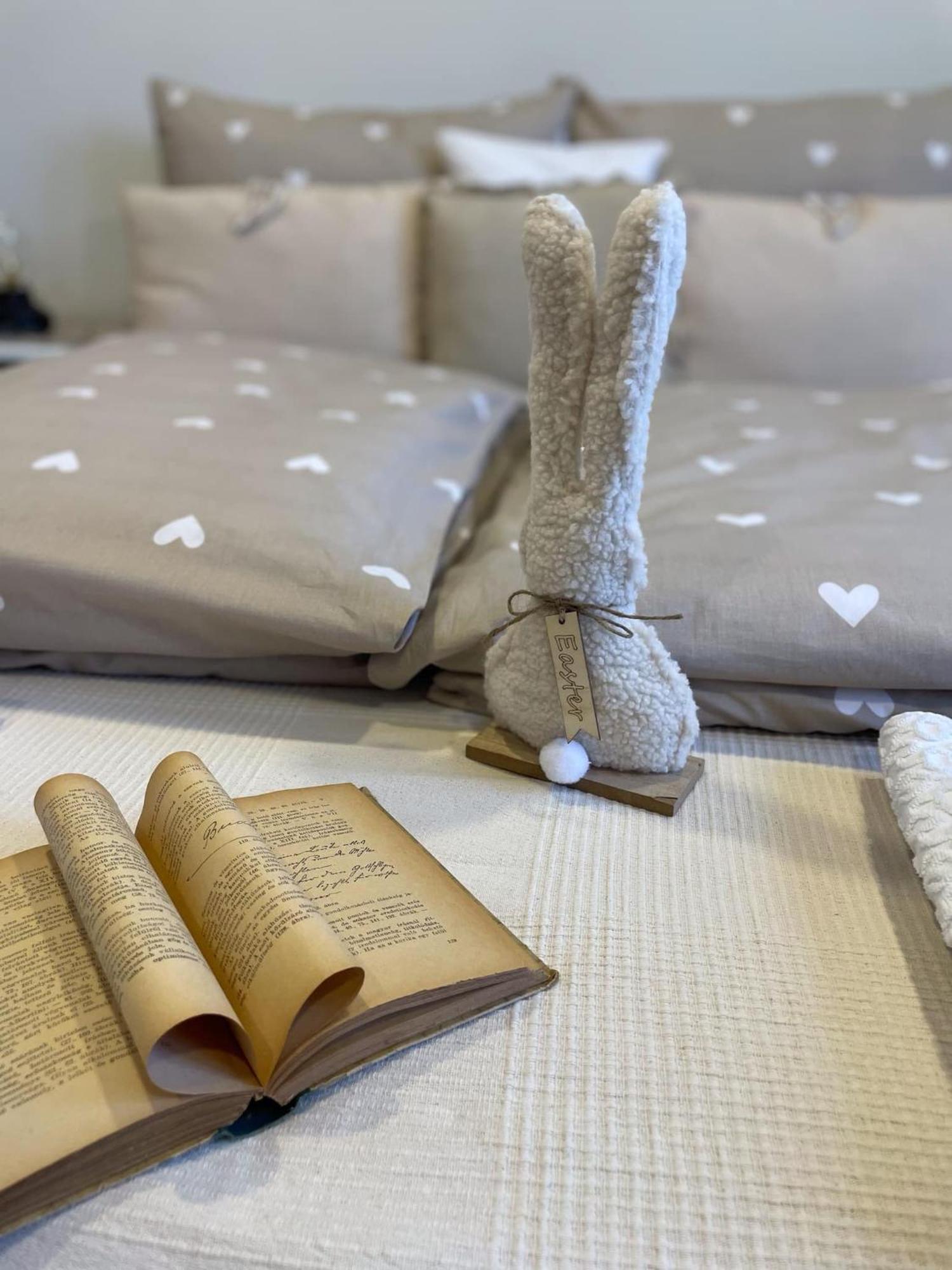 אגר Ezuest Boroka Apartman מראה חיצוני תמונה